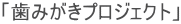�u���݂����v���W�F�N�g�v
